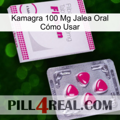 Kamagra 100 Mg Jalea Oral Cómo Usar 32